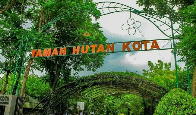 Taman Hutan Kota